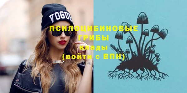 прущий лед Бородино