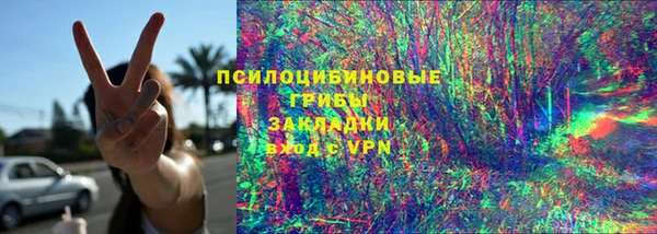 прущий лед Бородино