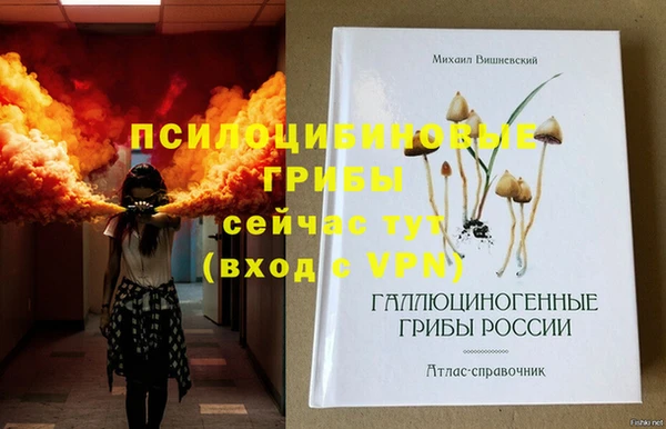 прущий лед Бородино