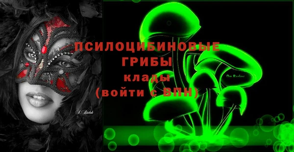 прущий лед Бородино