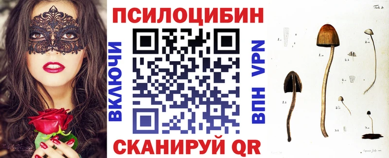 Купить где  Светлый  Псилоцибиновые грибы Cubensis 